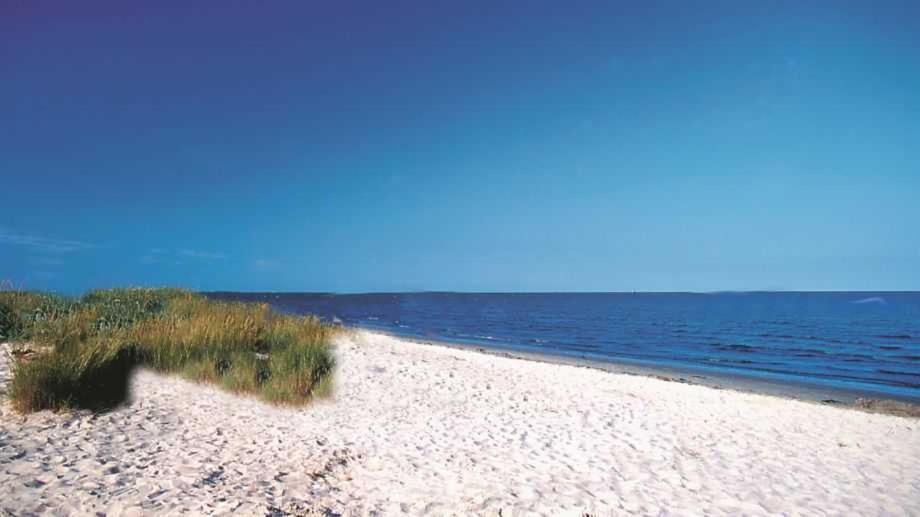Apartament Witte Huus 75M_ Und 51M_ Ferienwoh Hooksiel Zewnętrze zdjęcie
